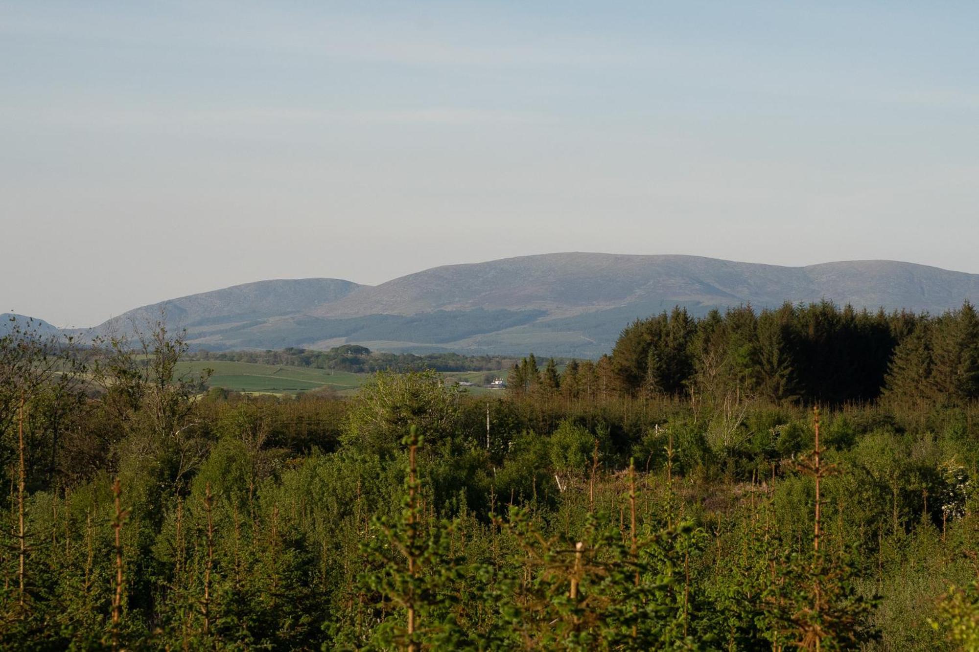 Wigtown By Wigwam Holidays Newton Stewart Rum bild